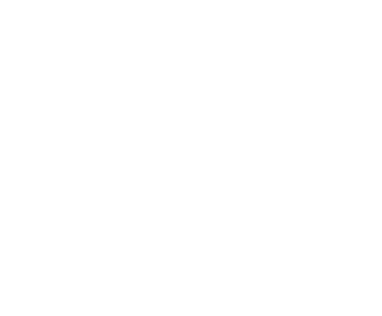 Toro
